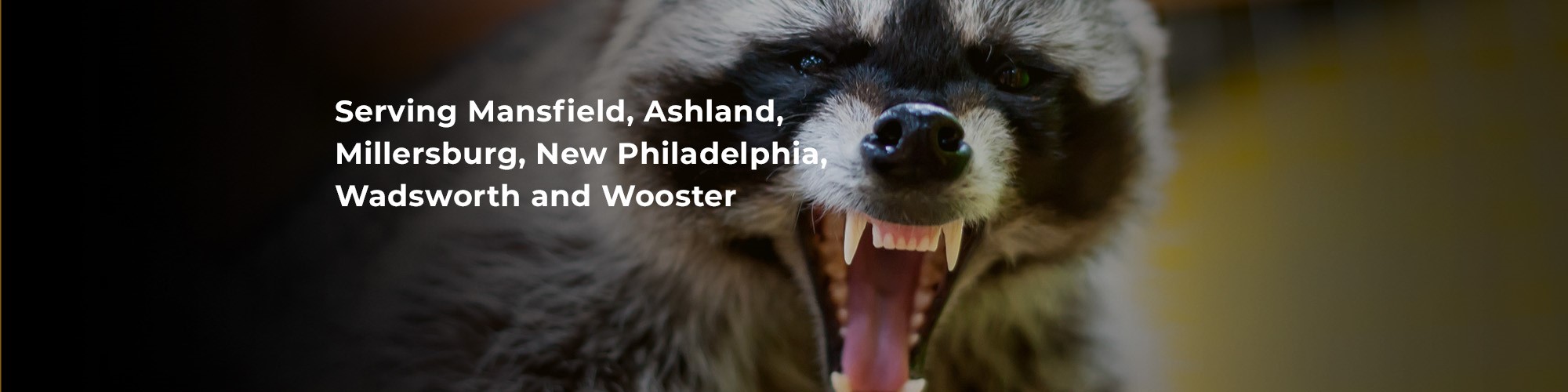 Serving Mansfield, Ashland, Millersburg, New Philadelphia, Wadsworth, and Wooster